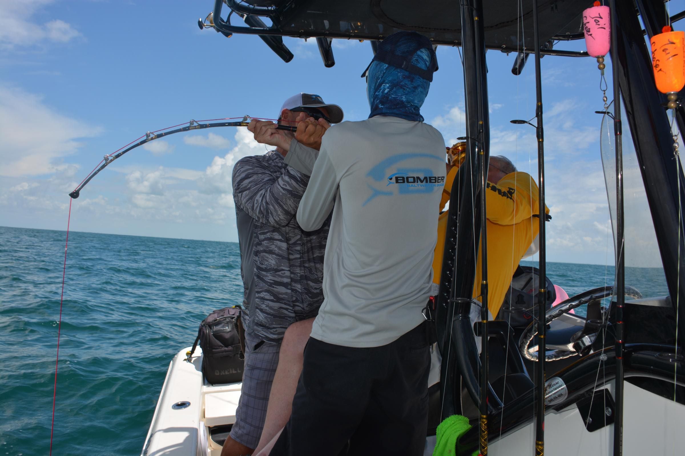 Bryantheceo - Can a Micro Fishing Rod catch a Goliath Grouper