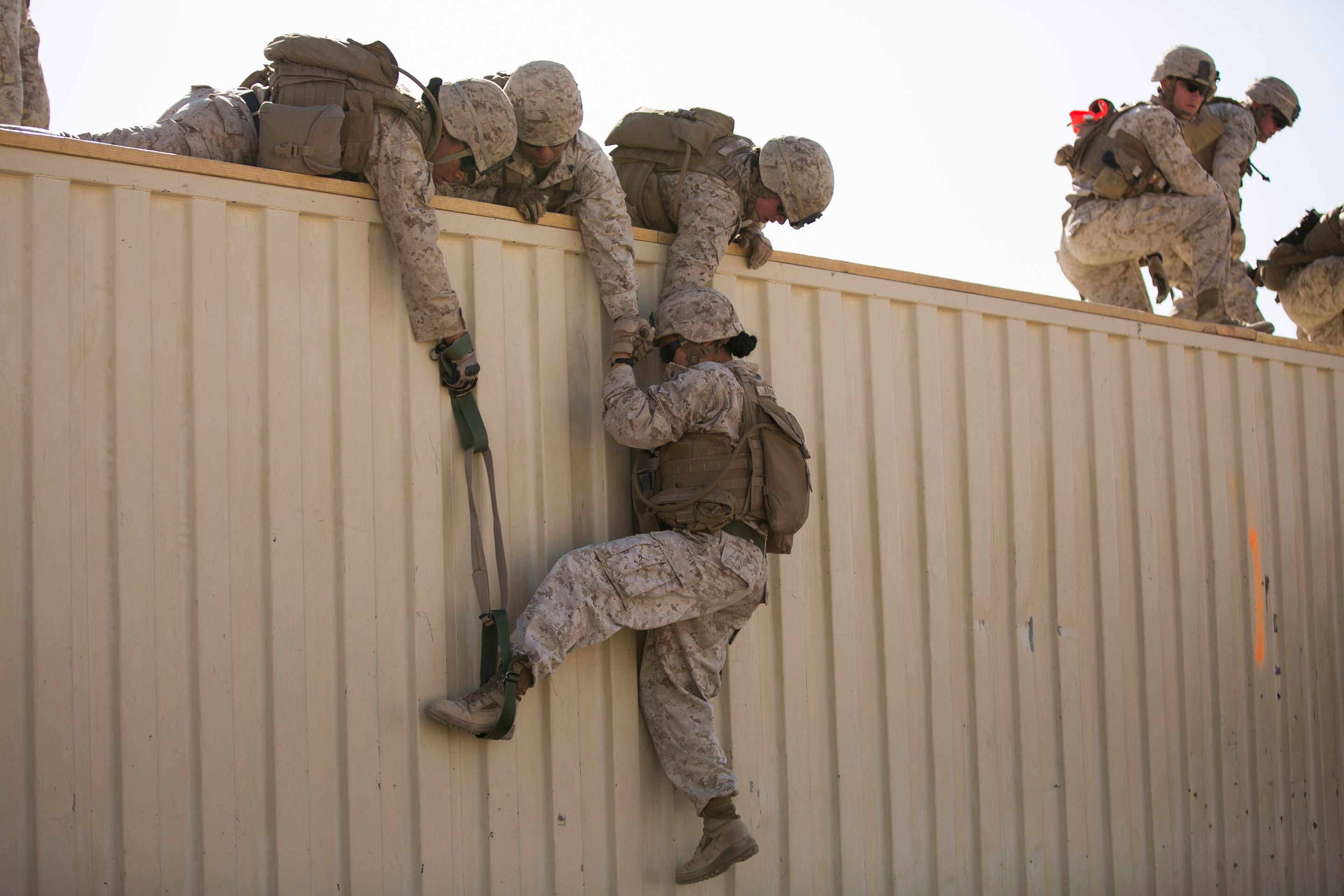 Browns to honor servicemen, servicewomen during Salute to Service