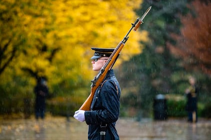 A sentinel from the Old Guard walks the mat at the Tomb of the Unknown Soldier at Arlington National Cemetery, Arlington, Va., Nov. 11, 2020.