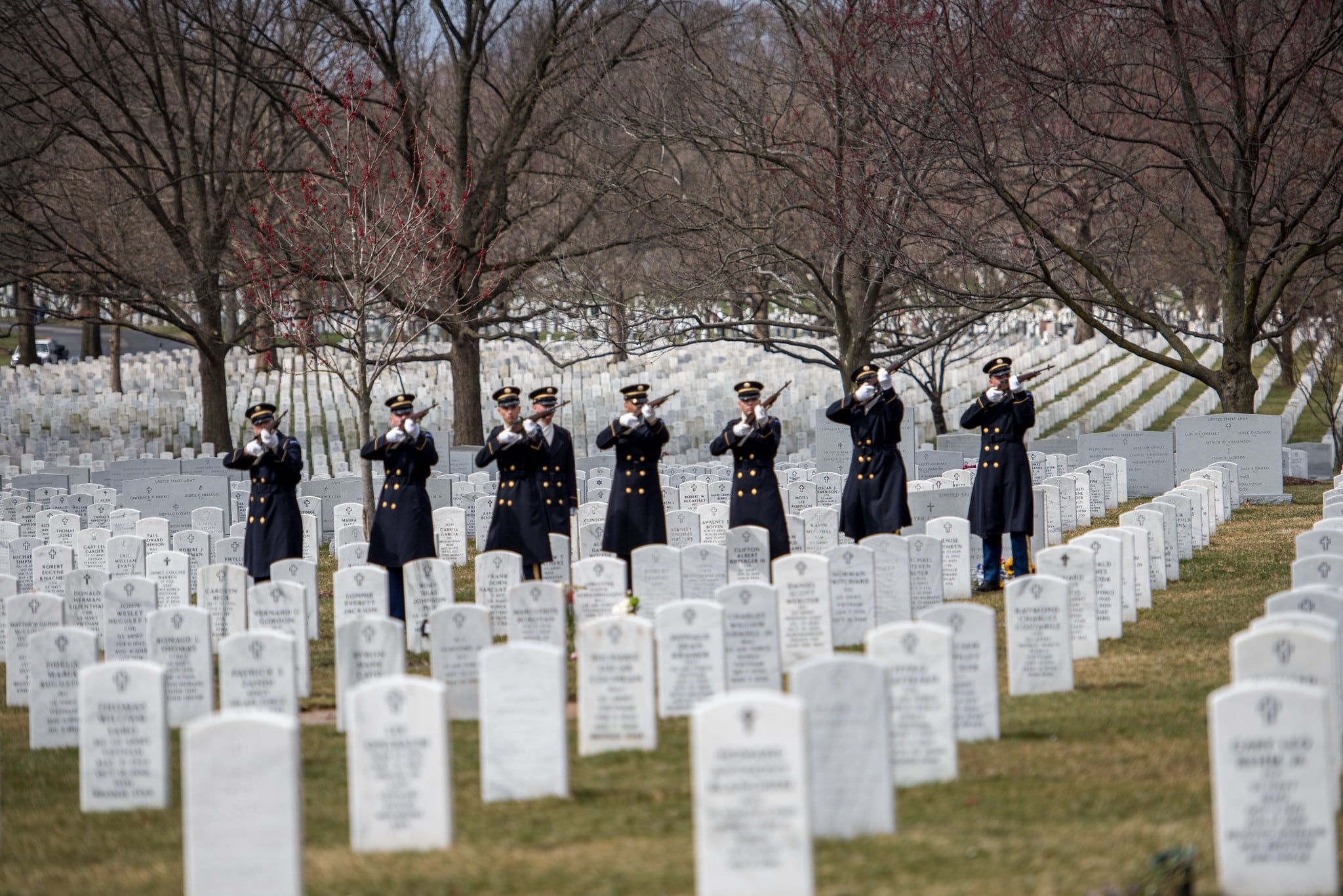 Soldiers assigned to the 3d U.S. Infantry Regiment (The Old Guard)