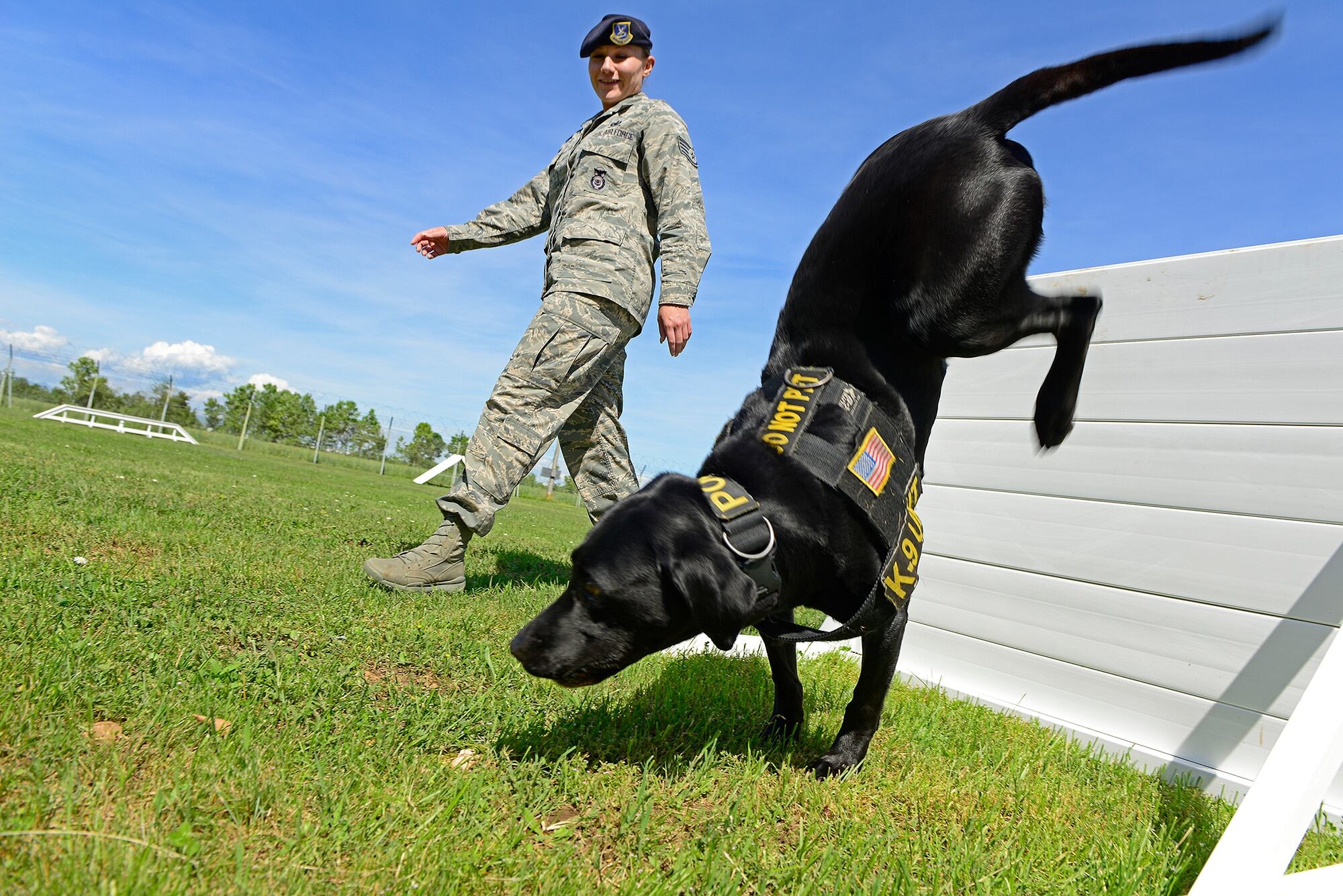 do dog handlers get paid