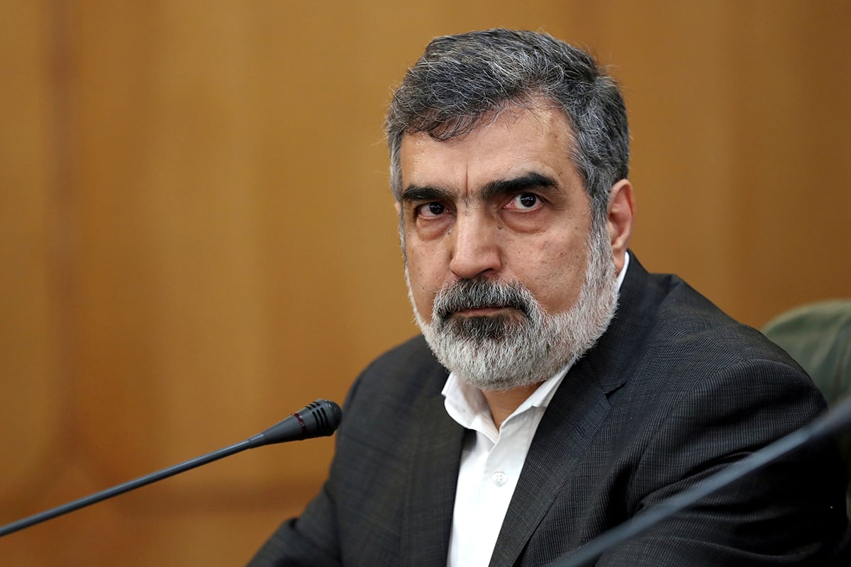 Spokesman for Iran's atomic agency Behrouz Kamalvandi attends a press briefing in Tehran, Iran, Sunday, July 7, 2019.