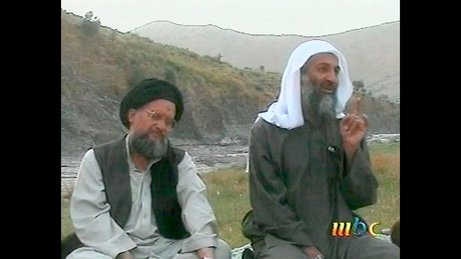 Ayman Al-Zawahri,Osama bin Laden