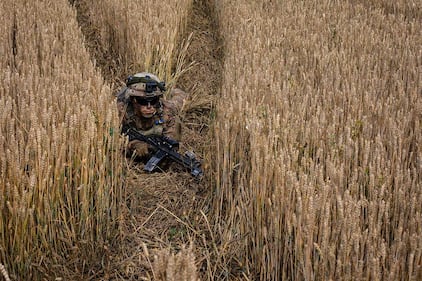 An infantryman conceals himself in a wheatfield during an air assault mission at Bordusani, Romania, at Saber Guardian 19, June 20, 2019.