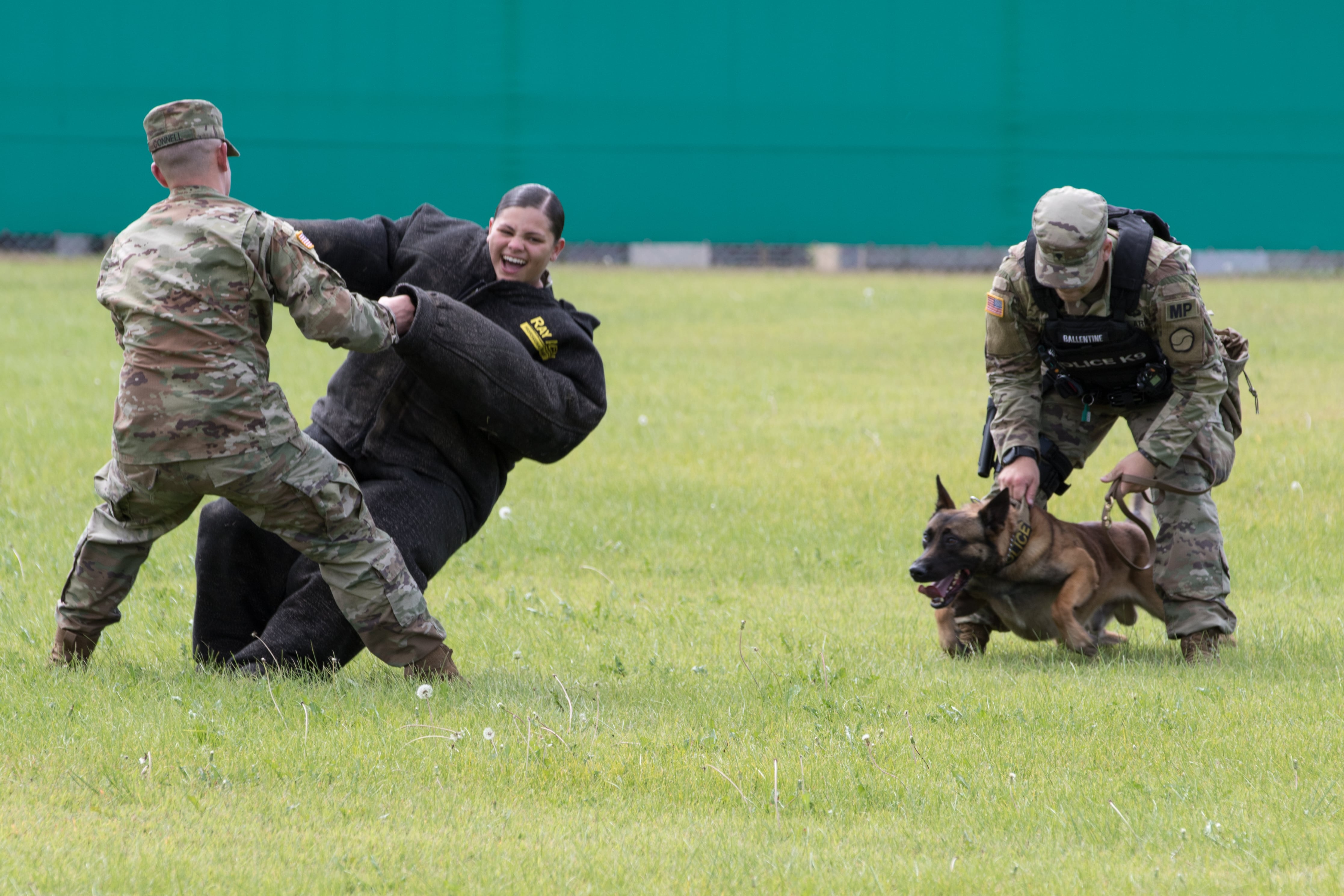 K9 integration training