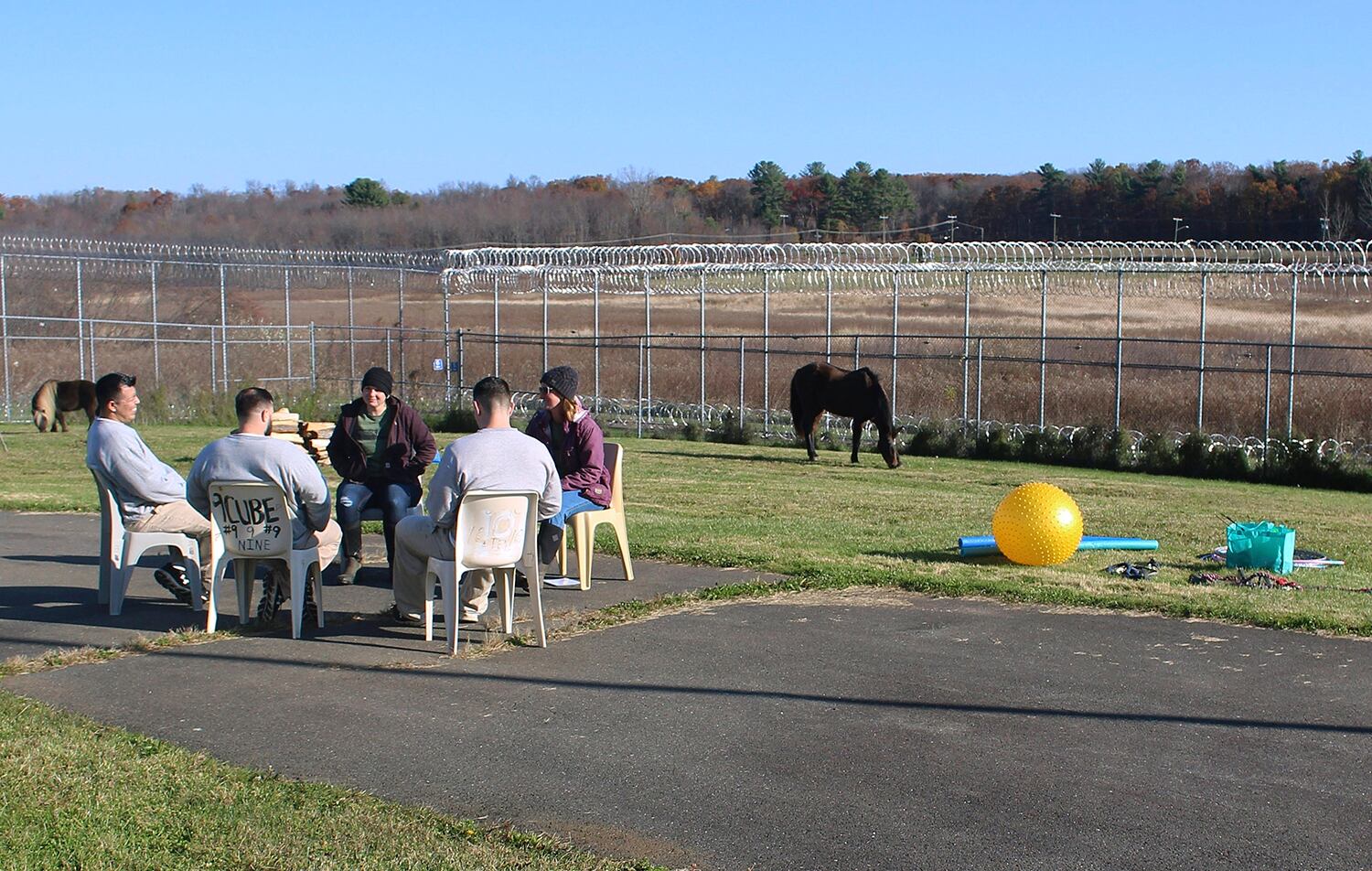 equine-assisted psychotherapy